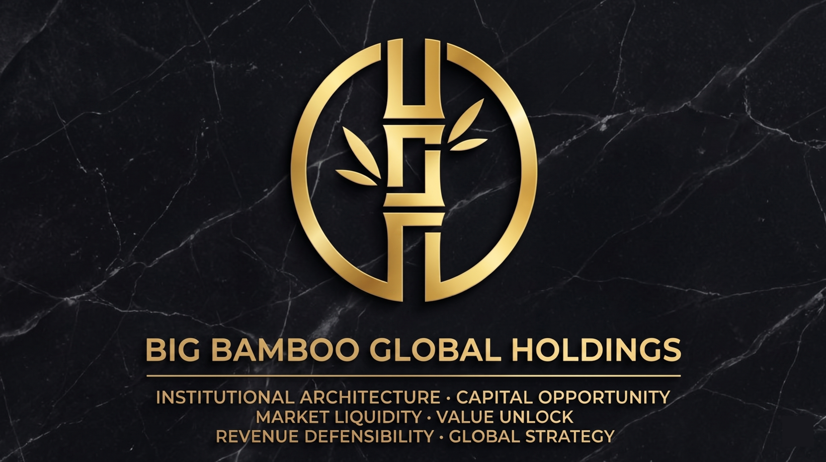 BigBamboo Global Holdings logo on dark background